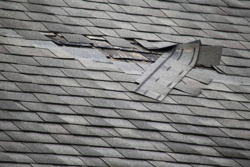 Asphalt Roof Leak Repair