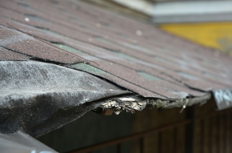 Dormer Repair